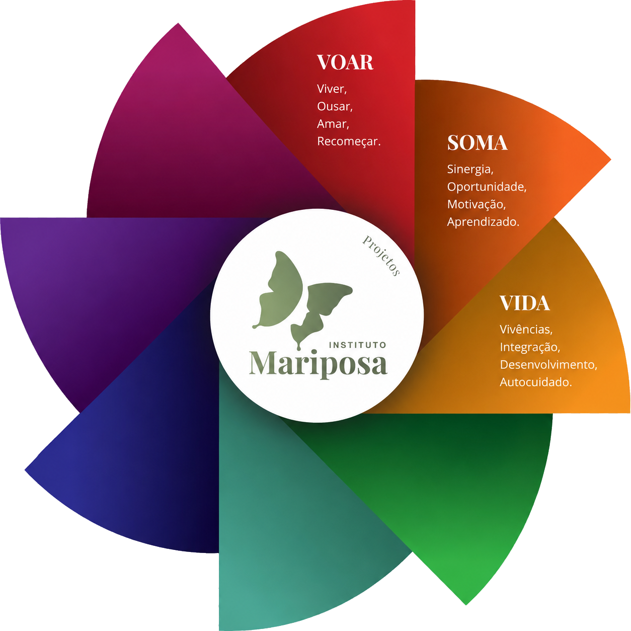 Projetos VOAR · SOMA · VIDA